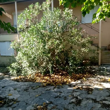 ησυχη